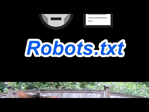 Robots.txt Explained In Under a Minute - Cybersecurity Basics #birds #cute #webdevelopment