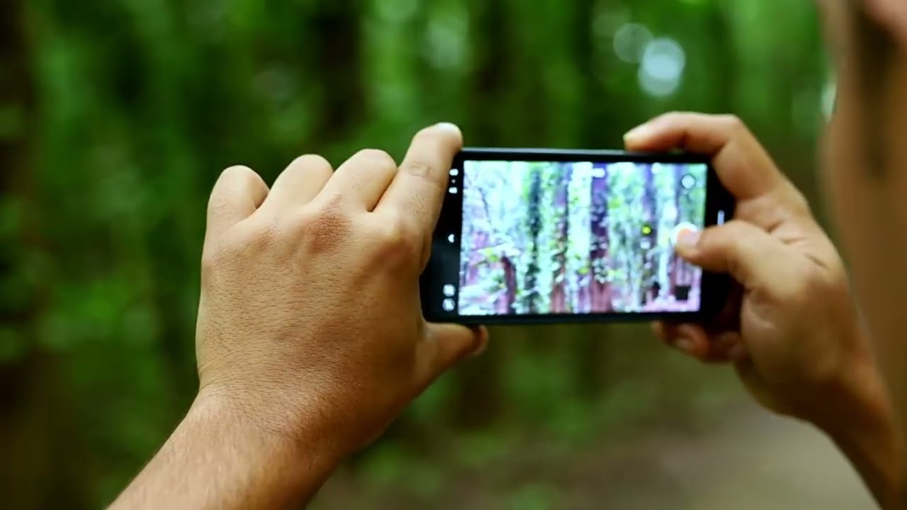 Experience a digital tour of Udawattakele Forest Reserve.