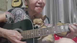 I want to hold your hand...👵Cover by Malinda...👵