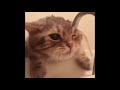 1 000 LOSE Try Not to LAUGH Challenge I