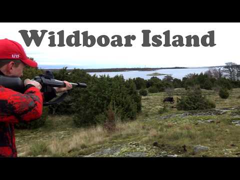 Wildboar Island - Schwarzwildjagd in der Ostsee