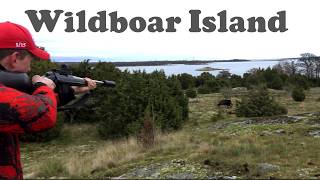 Wildboar Island - Schwarzwildjagd in der Ostsee