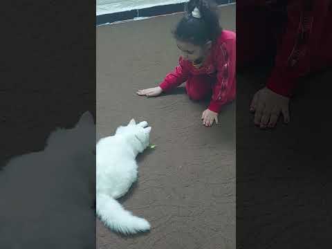 kitty with khadeeja