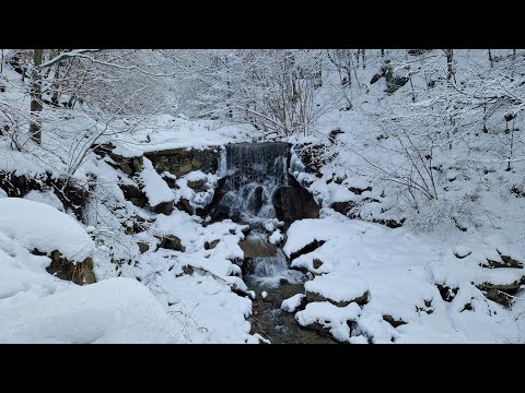 Strungari - Valea Reci -2023