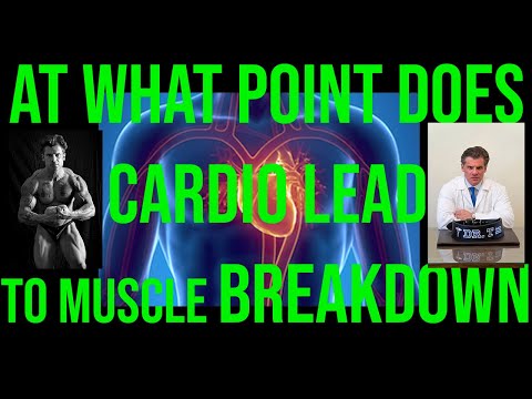 When does cardio lead to muscle breakdown? ASK DR. TESTOSTERONE EPISODE 72
