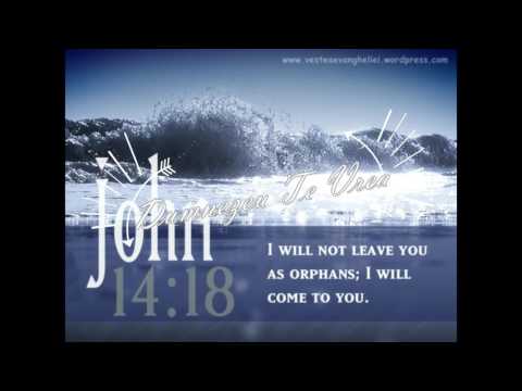 Fernando din Barbulesti - Ghetsimani,Tainica gradina  (Official video)  2016