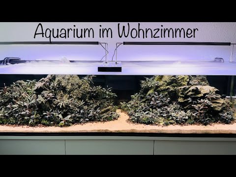 Wohnzimmeraquarium noch ohne Fische🙃 #aquarium