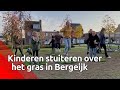 Kinderen springen erop los op Stuitergrasveld in Bergeijk: 'Dit is weer eens wat anders'