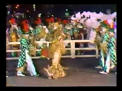 1985 Quaker City String Band - The Scarecrows' Hay Day