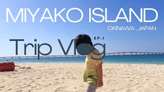 【沖縄 宮古島Vlog:前編】快晴！3泊4日/シギラリゾート/与那覇前浜/ガーリックシュリンプ/しゃぶ前屋/まもるくんetc…(2025.03)