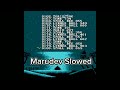 Sandu Ciorba Pe Cimpoi Marudev Slowed Version