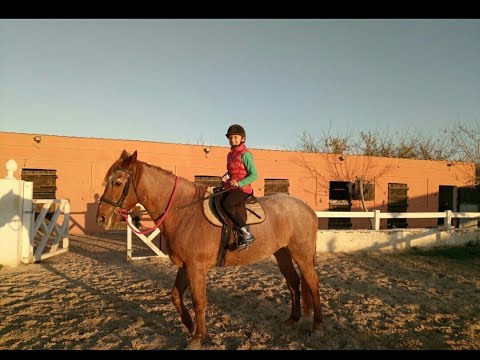 Первый урок верховой езды 🏇 .Любителям лошадей 🐎