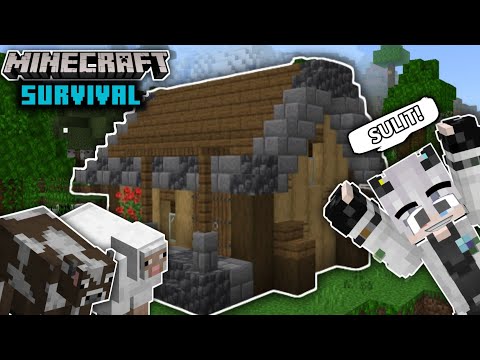 I BUILD MEDIEVAL HOUSE IN MINECRAFT(Tagalog)Minecraft Survival