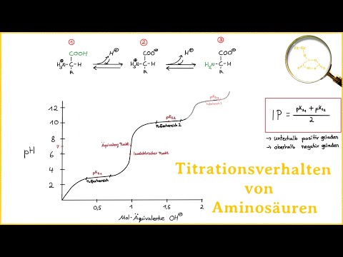 Titrationsverhalten von Aminosäuren