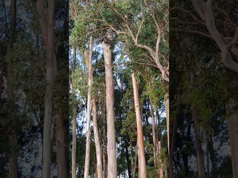 Puerto De Los Botes Rocha Uruguay.