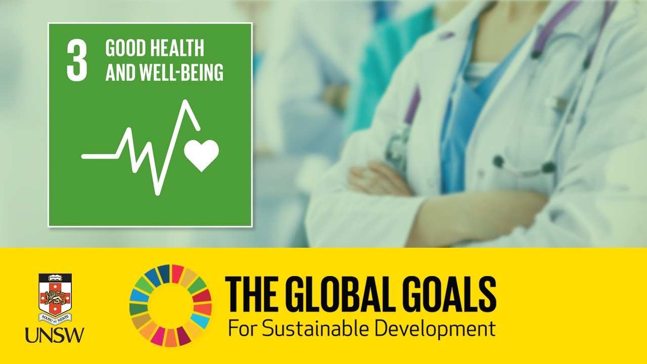 Sustainable Development Goal 3 - Good Health and Well Being - Kristen Beek and Sophia Lin