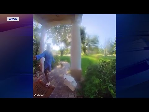 WATCH: Angry raccoon chases Orlando woman, her dog