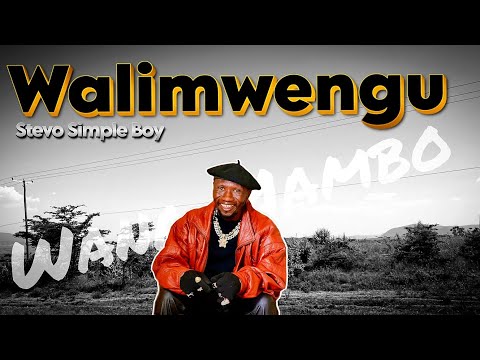 STEVO SIMPLE BOY - WALIMWENGU (OFFICIAL 4K MUSIC VIDEO)