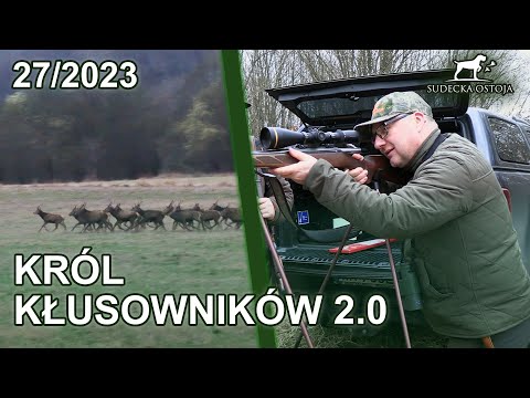 SUDECKA OSTOJA 27/2023 Król kłusowników 2.0. deer hunting polowanie na jelenie, hunt chasse, jagd