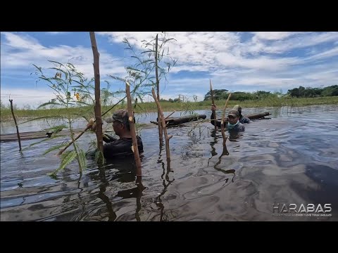 EP756-P2 - Paggawa ng Gango | Occ. Mindoro