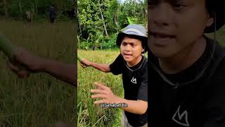 Download lagu TRAP SPRINGS WITH NET #birds #viral #like #news #fish mp3 Download lagu TRAP SPRINGS WITH NET #birds #viral #like #news #fish mp3