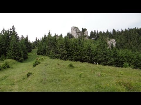 Traseu in Piatra Mare: Predeal - Timisul Sec - C. Piatra Mare - Canionul 7 Scari - Timisul de Jos