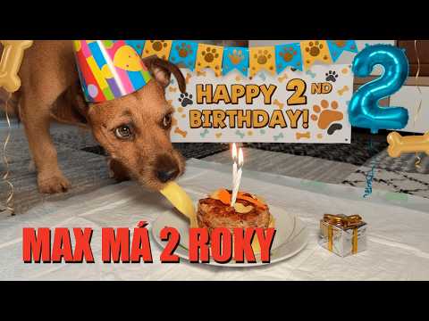 Max má 2. narozeniny! Velká oslava a psí dort