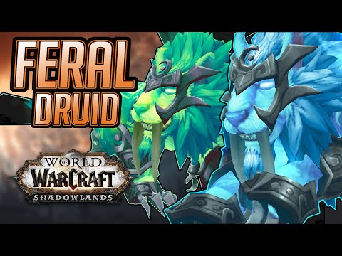 Soul CHOOSES A Covenant  |Feral Druid | Shadowlands BETA PVP