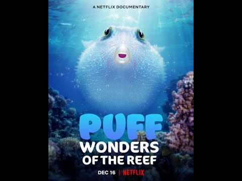 Puff: Wonders of the Reef | Official Trailer | Netflix