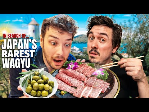 I Tried Japan's Rarest Beef (Olive Wagyu) | Feat. @CDawgVA