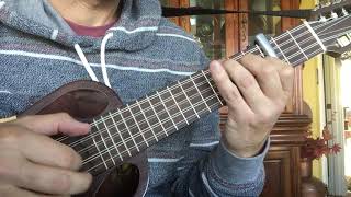 Jardin - Ronroco cover of Gustavo Santaolalla by Zender