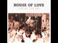 The House Of Love - 32nd Floor (Live @ Marquee, 22/4/1991)