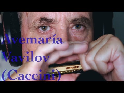 José Miró. Avemaria Vavilov (Caccini). Diatonic Harmonica