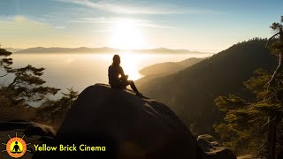 8 Hours: Relaxing Music for Healing, Meditation & Sleep | Stop Overthinking & Free Your Mind ☯3883
