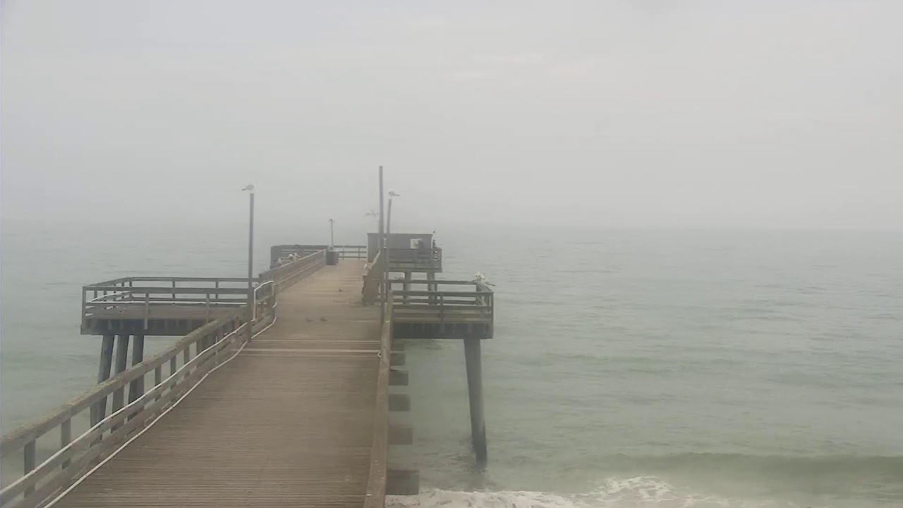 Live webcam view of Avalon Pier Looking East