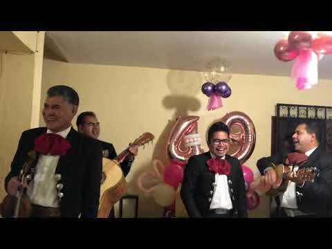 Mariachis mamones, el mono de alambre