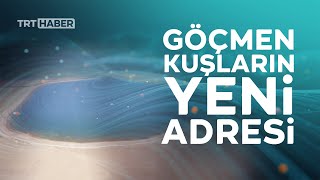 Aral'ın yerini Aydar gölü aldı