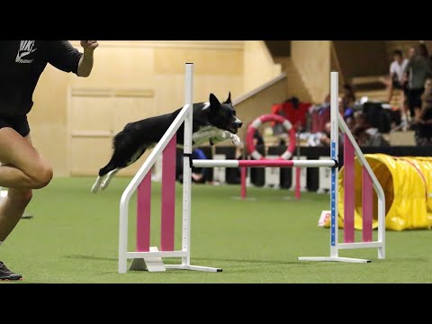 Czech Junior Championship 2023