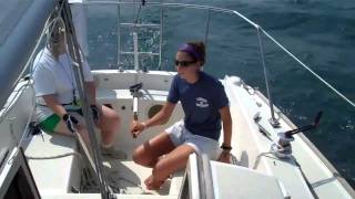 New Buffalo, Michigan Sail Fleet Sunday Races