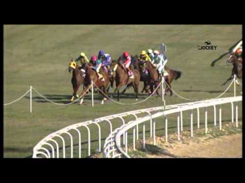 5 Carrera, premio El Africano, 31 de enero 2016 - Gran Hipódromo de Andalucía