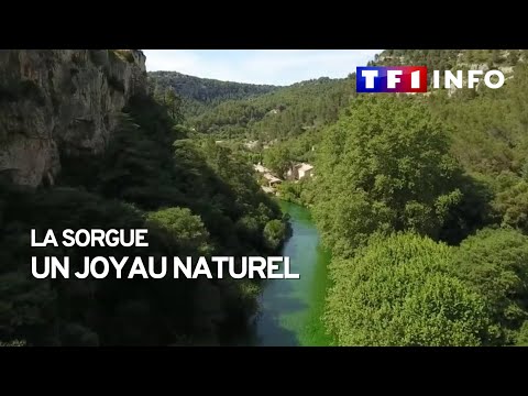 La Sorgue, un joyau naturel