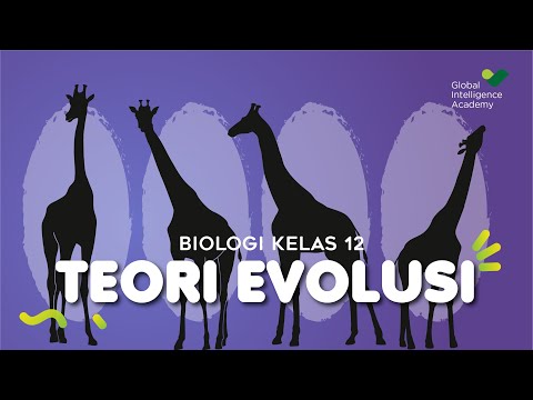 BIOLOGY Grade 12 - The Theory of Evolution | GIA Academy