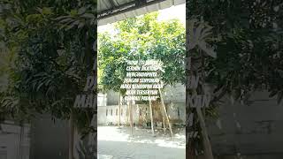 Download lagu Hidup Itu Ibarat Cermin💞#storywa #story #sad #quotes #reels #reel #sadstatus #fyp #fy #fypage #fypシ゚ mp3 Download lagu Hidup Itu Ibarat Cermin💞#storywa #story #sad #quotes #reels #reel #sadstatus #fyp #fy #fypage #fypシ゚ mp3