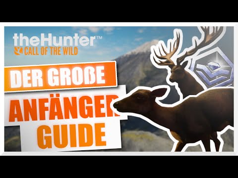 The BIG BEGINNER'S GUIDE! German | theHunter Call of the Wild