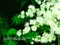 揺れる想い/ Yureru Omoi - ZARD - Piano by Hiromi Haneda ...