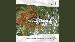 Music video thumbnail preview for Cold and the Crackle (Arcane Trickster Remix) by Not Drowning, Waving