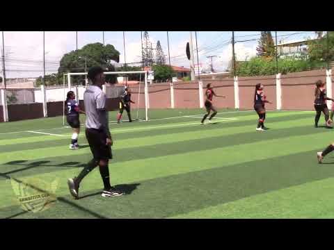 RESUMEN CUARTOS DE FINAL GIRASOLES FC VS DESORDENADAS CAMPEONATO FEMENINO ORGANIZADO X GAMBETITA CUP