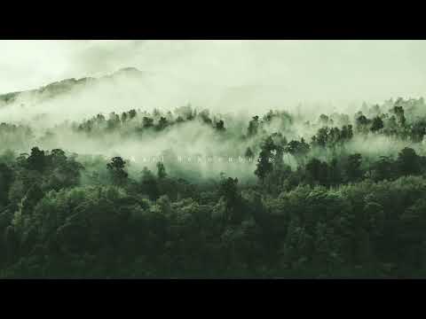 Karl Schoenberg - Absinthe - Ambient/NeoClassical Music