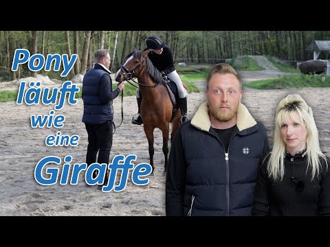 Pony läuft wie eine Giraffe - Reiterin schätzt sich völlig falsch ein - Ariane Telgen soll helfen