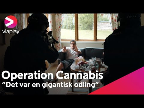 , title : '"Det var en gigantisk odling" | Operation Cannabis | A Viaplay Original'